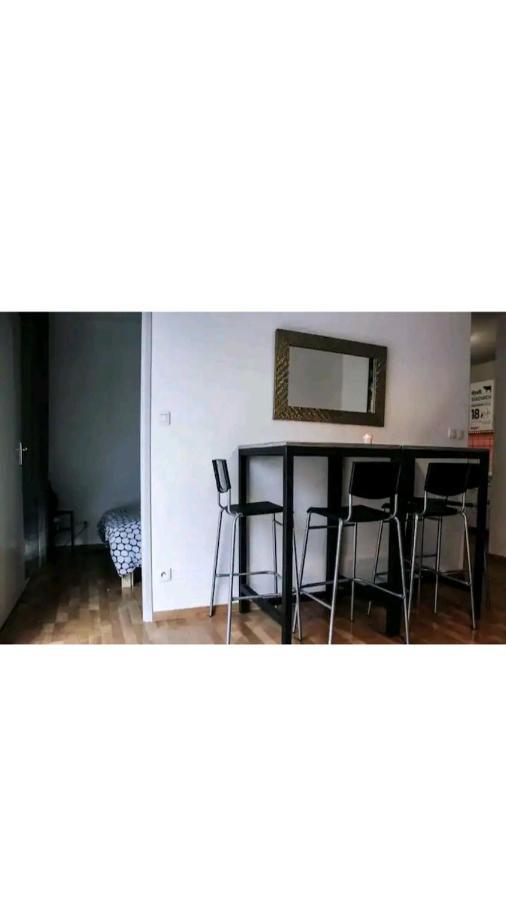 Bel Appartement Proche Du Canal Du Midi Toulouse Buitenkant foto