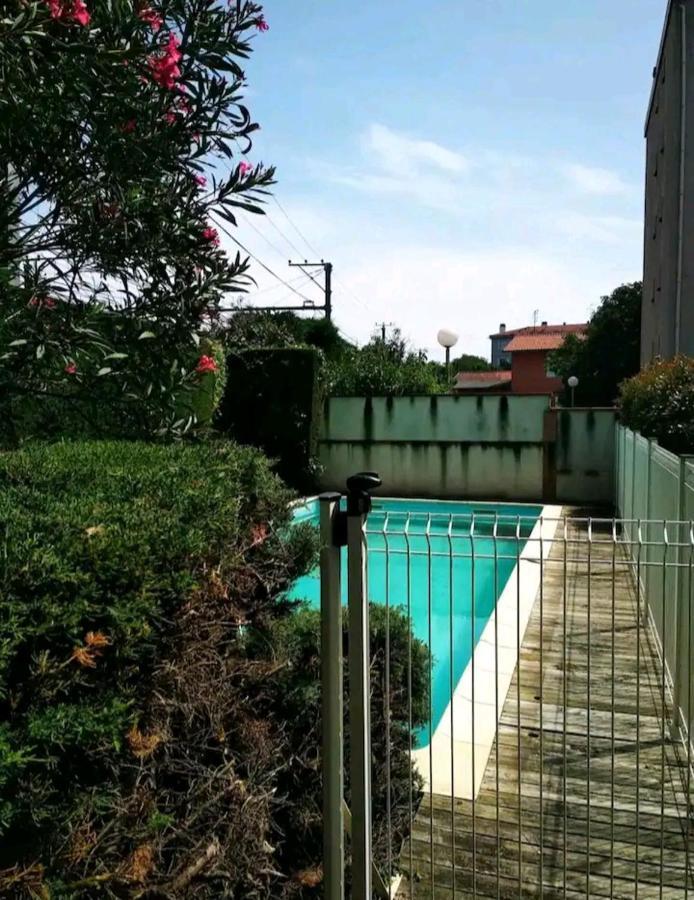 Bel Appartement Proche Du Canal Du Midi Toulouse Buitenkant foto