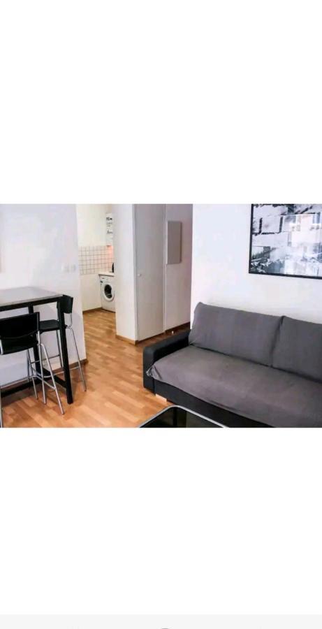 Bel Appartement Proche Du Canal Du Midi Toulouse Buitenkant foto